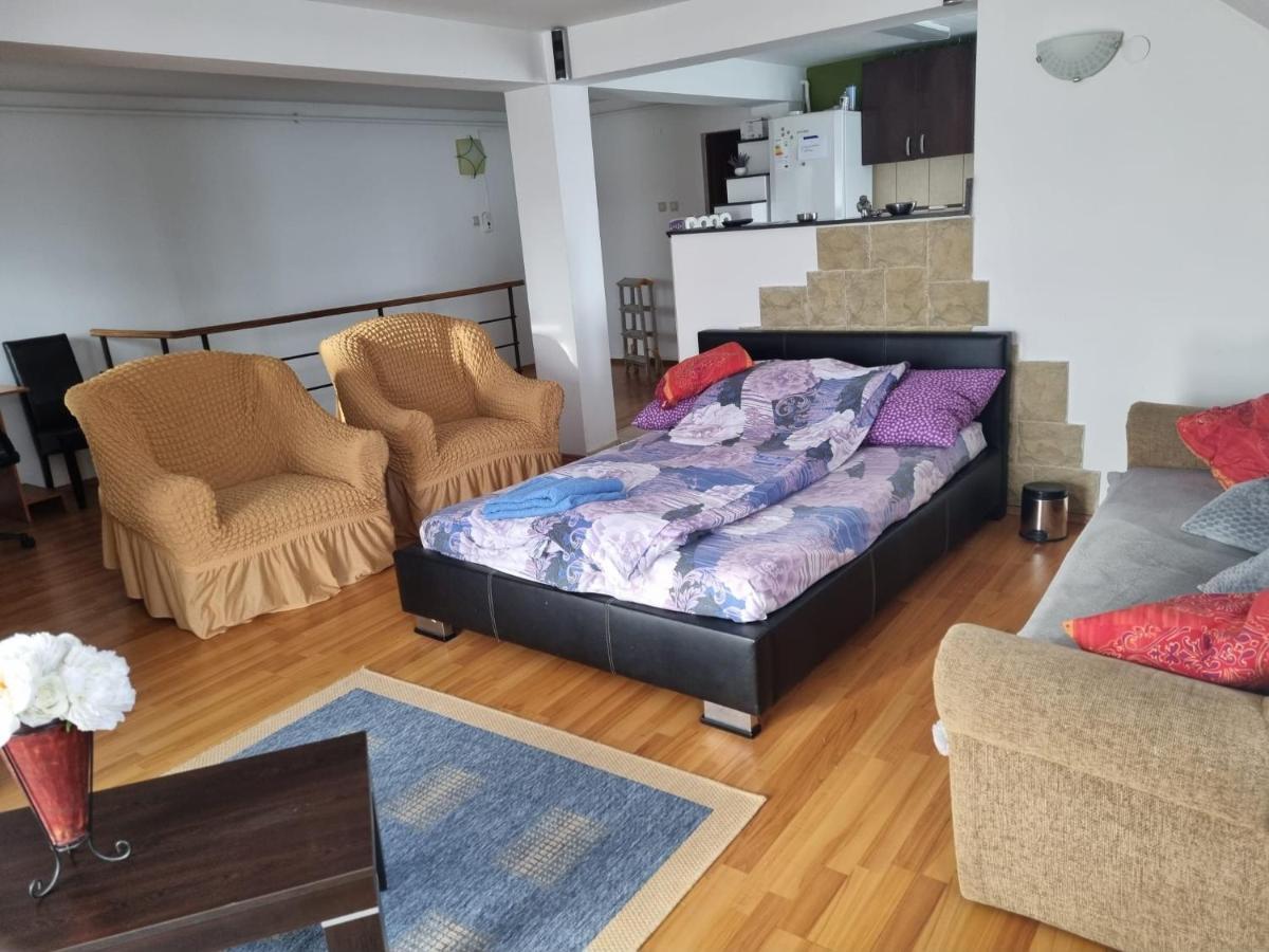Penthouse Apartament 2 Floors, 2 Bedroom , 2 Bath, 120 Sqm , Inside Yard Parking Cluj-Napoca Eksteriør billede
