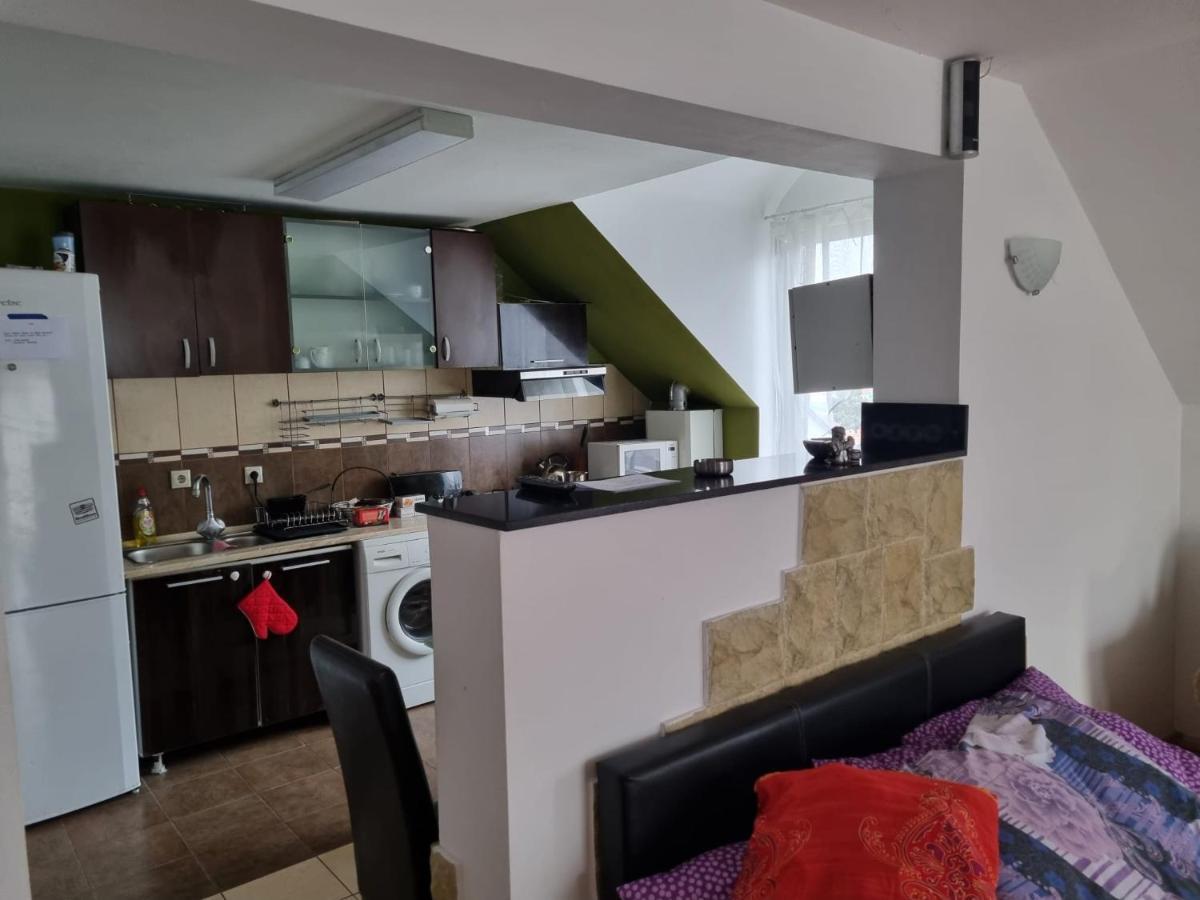 Penthouse Apartament 2 Floors, 2 Bedroom , 2 Bath, 120 Sqm , Inside Yard Parking Cluj-Napoca Eksteriør billede