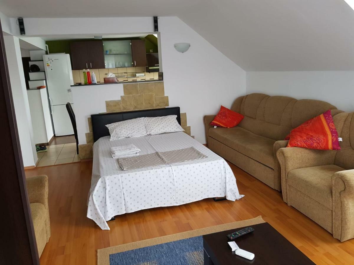 Penthouse Apartament 2 Floors, 2 Bedroom , 2 Bath, 120 Sqm , Inside Yard Parking Cluj-Napoca Eksteriør billede